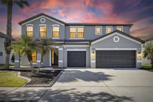 11807 HARPSWELL DRIVE, RIVERVIEW, FL 33579 - MLS#MFRTB8499760