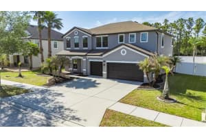 11807 HARPSWELL DRIVE, RIVERVIEW, FL 33579 - MLS#MFRTB8499760