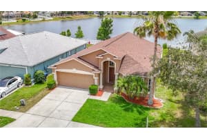2818 MUSKY MINT DRIVE, LAND O LAKES, FL 34638 - MLS#MFRTB8499769