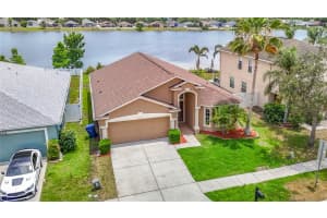 2818 MUSKY MINT DRIVE, LAND O LAKES, FL 34638 - MLS#MFRTB8499769