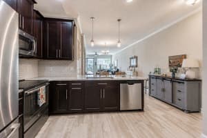 11523 CROWNED SPARROW LANE, TAMPA, FL 33626 - MLS#MFRTB8499771