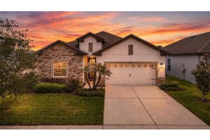 30980 JAZZ LEAF PLACE, SAN ANTONIO, FL 33576 - MLS#MFRTB8499780