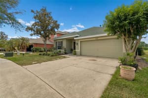 20122 NOB OAK AVENUE, TAMPA, FL 33647 - MLS#MFRTB8499820