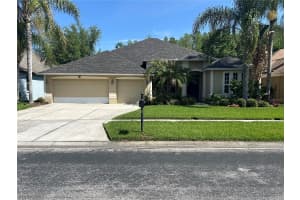 26612 SHOREGRASS DRIVE, WESLEY CHAPEL, FL 33544 - MLS#MFRTB8499824