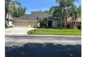 26612 SHOREGRASS DRIVE, WESLEY CHAPEL, FL 33544 - MLS#MFRTB8499824