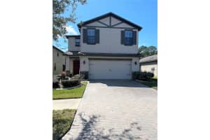 20010 DATE PALM WAY, TAMPA, FL 33647 - MLS#MFRTB8499881