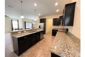 20010 DATE PALM WAY, TAMPA, FL 33647 - MLS#MFRTB8499881