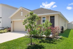 35724 SUNFLOWER HILL DRIVE, ZEPHYRHILLS, FL 33541 - MLS#MFRTB8499894