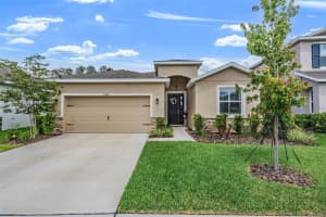 6862 Broad River Ave, LAND O LAKES