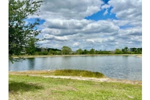 9750 CAMPANULA COURT, LAND O LAKES, FL 34638 - MLS#MFRTB8499925