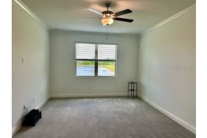 9750 CAMPANULA COURT, LAND O LAKES, FL 34638 - MLS#MFRTB8499925