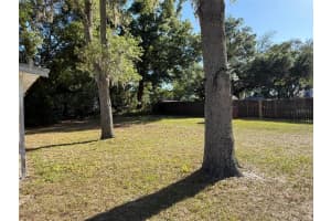 38038 CAT AVENUE, ZEPHYRHILLS, FL 33541 - MLS#MFRTB8499940