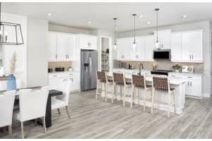 9672 SPARROW HILL ISLE, ZEPHYRHILLS, FL 33541 - MLS#MFRTB8499947