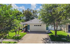 1686 OAK SPRING DRIVE, TARPON SPRINGS, FL 34689 - MLS#MFRTB8499951