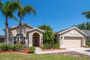 19103 WIND DANCER STREET, LUTZ, FL 33558 - MLS#MFRTB8499963
