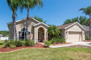 19103 WIND DANCER STREET, LUTZ, FL 33558 - MLS#MFRTB8499963
