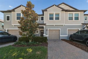 21818 LYONIA LANE, LAND O LAKES, FL 34637 - MLS#MFRTB8499964