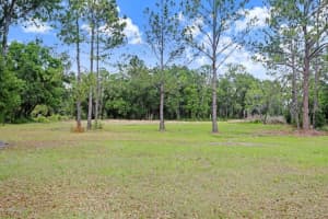 6204 KNIGHTS GRIFFIN ROAD, PLANT CITY, FL 33565 - MLS#MFRTB8499984