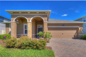19391 LONG LAKE RANCH BOULEVARD, LUTZ, FL 33558 - MLS#MFRTB8500014