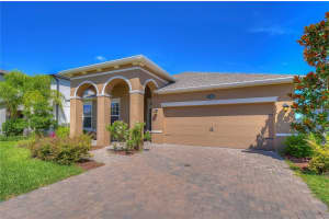 19391 LONG LAKE RANCH BOULEVARD, LUTZ, FL 33558 - MLS#MFRTB8500014