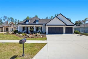 3944 COVE LAKE PLACE, LAND O LAKES, FL 34639 - MLS#MFRTB8500023