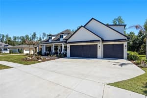 3944 COVE LAKE PLACE, LAND O LAKES, FL 34639 - MLS#MFRTB8500023