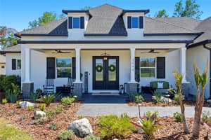 3944 COVE LAKE PLACE, LAND O LAKES, FL 34639 - MLS#MFRTB8500023