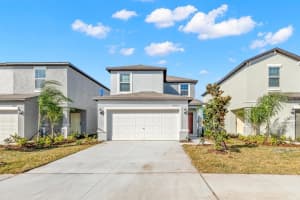 4436 GLOBE THISTLE DRIVE, TAMPA, FL 33619 - MLS#MFRTB8500037