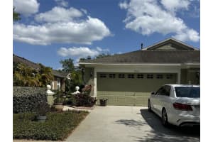 19113 DOVES LANDING DRIVE, TAMPA, FL 33647 - MLS#MFRTB8500048