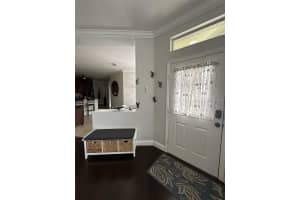 19113 DOVES LANDING DRIVE, TAMPA, FL 33647 - MLS#MFRTB8500048