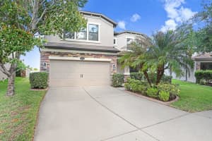11719 Albatross Ln, RIVERVIEW
