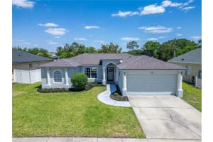 1730 CANOE DRIVE, LUTZ, FL 33559 - MLS#MFRTB8500069