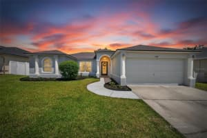 1730 CANOE DRIVE, LUTZ, FL 33559 - MLS#MFRTB8500069