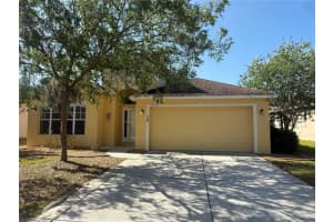 11055 Belle Haven Dr, NEW PORT RICHEY