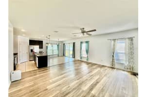 14207 POKE RIDGE DRIVE, RIVERVIEW, FL 33579 - MLS#MFRTB8500136