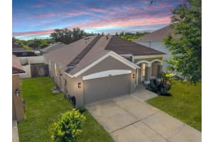 10323 GOLDENBROOK WAY, TAMPA, FL 33647 - MLS#MFRTB8500171