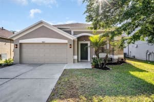 10323 GOLDENBROOK WAY, TAMPA, FL 33647 - MLS#MFRTB8500171