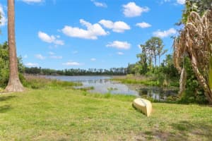 19229 Blount Rd, LUTZ