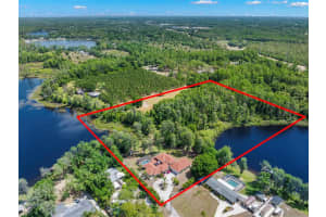 19229 BLOUNT ROAD, LUTZ, FL 33558 - MLS#MFRTB8500208
