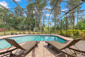 19229 BLOUNT ROAD, LUTZ, FL 33558 - MLS#MFRTB8500208