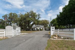 31919 Hedgerow Dr, WESLEY CHAPEL 31919 Hedgerow Dr, WESLEY CHAPEL