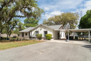 31919 HEDGEROW DRIVE, WESLEY CHAPEL, FL 33543 - MLS#MFRTB8500273