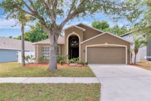 3201 Dunstable Dr, LAND O LAKES