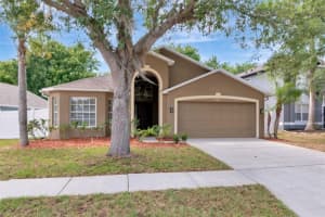 3201 DUNSTABLE DRIVE, LAND O LAKES, FL 34638 - MLS#MFRTB8500278