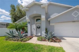 8507 Tiara Park Way, TAMPA