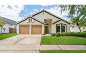 11708 Carrollwood Cove Dr, TAMPA 11708 Carrollwood Cove Dr, TAMPA