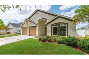 11708 CARROLLWOOD COVE DRIVE, TAMPA, FL 33624 - MLS#MFRTB8500297