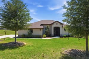 1381 SPEND A BUCK DRIVE, HERNANDO, FL 34442 - MLS#MFRTB8500329