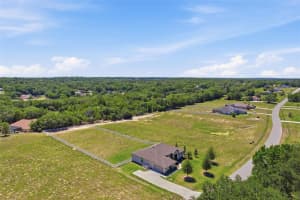 1381 SPEND A BUCK DRIVE, HERNANDO, FL 34442 - MLS#MFRTB8500329