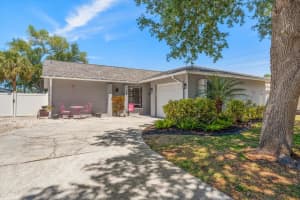 1875 Arbor Dr S, PALM HARBOR